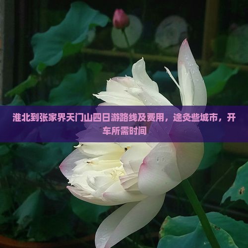 淮北到张家界天门山四日游路线及费用，途灸些城市，开车所需时间