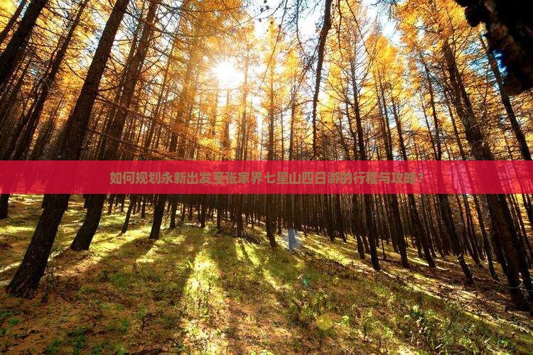 如何规划永新出发至张家界七星山四日游的行程与攻略？