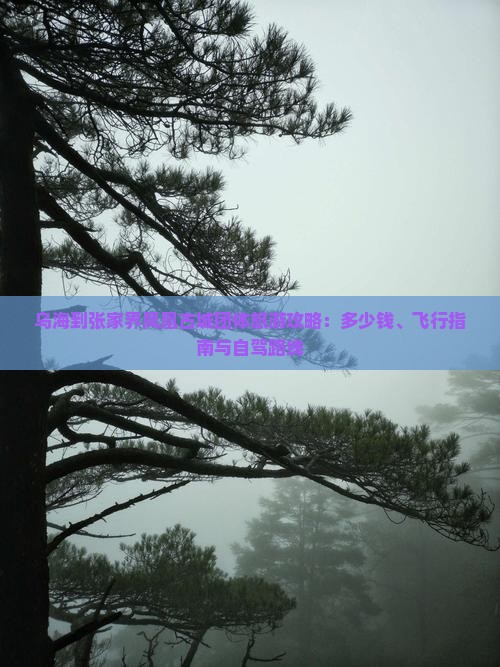 乌海到张家界凤凰古城团体旅游攻略：多少钱、飞行指南与自驾路线