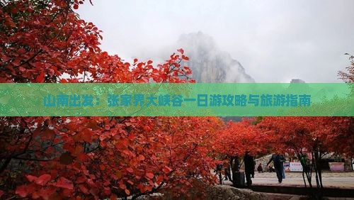 山南出发：张家界大峡谷一日游攻略与旅游指南
