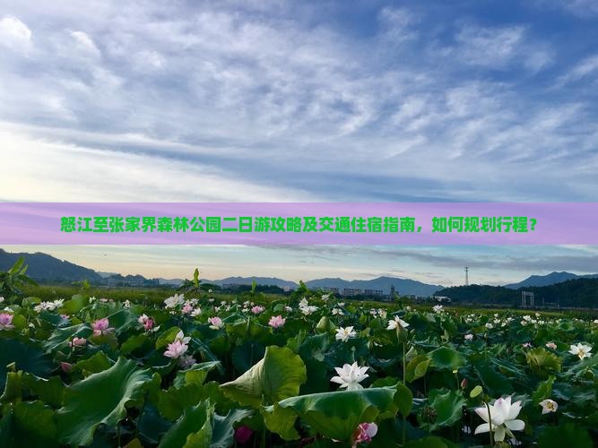 怒江至张家界森林公园二日游攻略及交通住宿指南，如何规划行程？