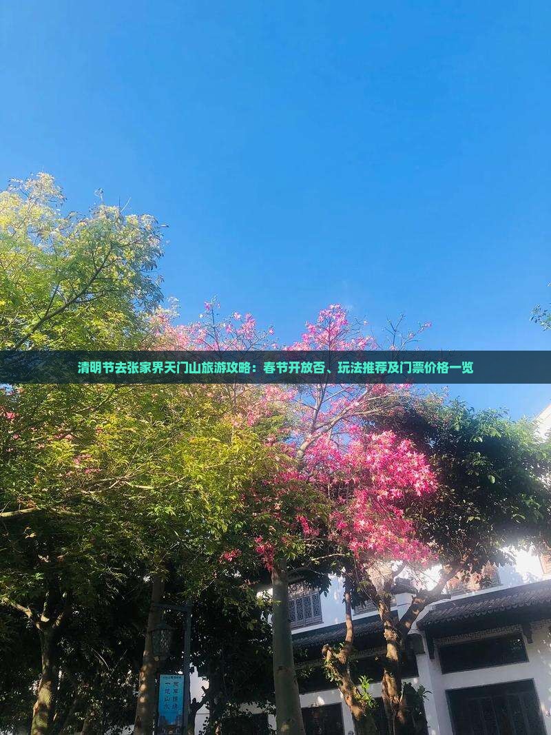 清明节去张家界天门山旅游攻略：春节开放否、玩法推荐及门票价格一览
