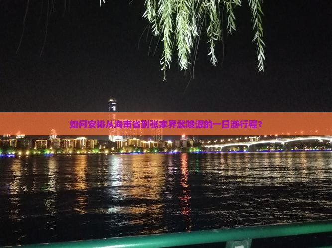 如何安排从海南省到张家界武陵源的一日游行程？