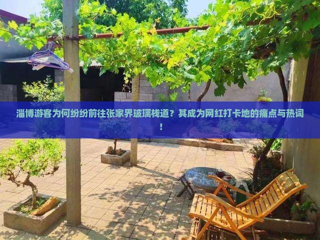 淄博游客为何纷纷前往张家界玻璃栈道？其成为网红打卡地的痛点与热词！