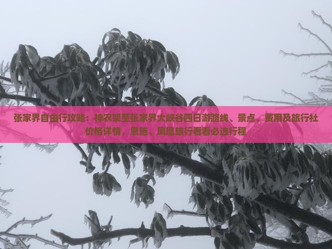 张家界自由行攻略：神农架至张家界大峡谷四日游路线、景点、费用及旅行社价格详情，恩施、凤凰旅行看看必选行程