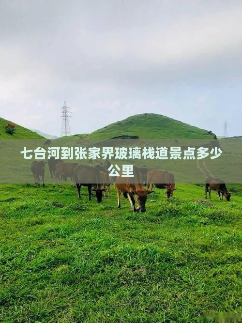 七台河到张家界玻璃栈道景点多少公里