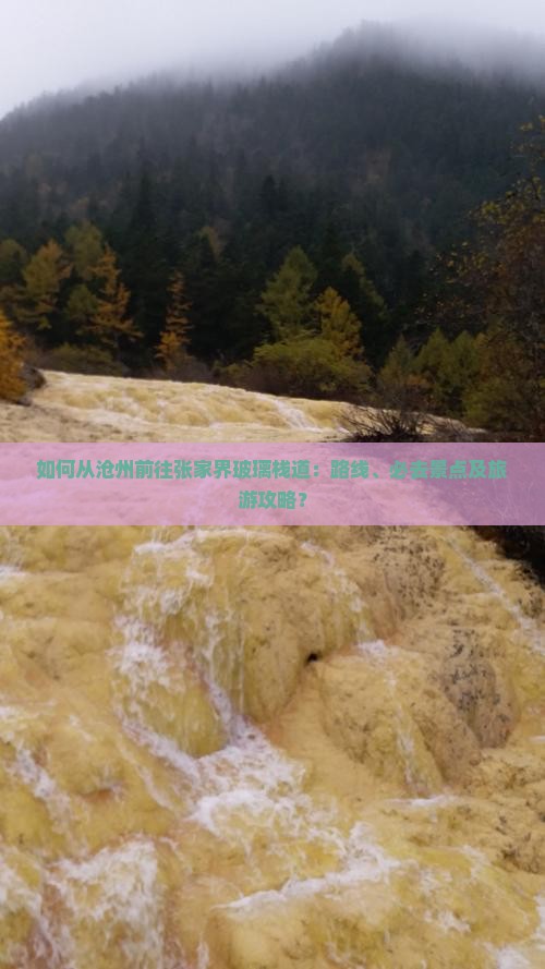如何从沧州前往张家界玻璃栈道：路线、必去景点及旅游攻略？