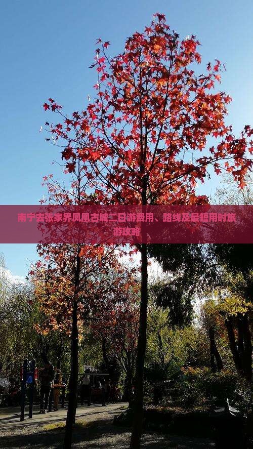 南宁去张家界凤凰古城二日游费用、路线及最短用时旅游攻略