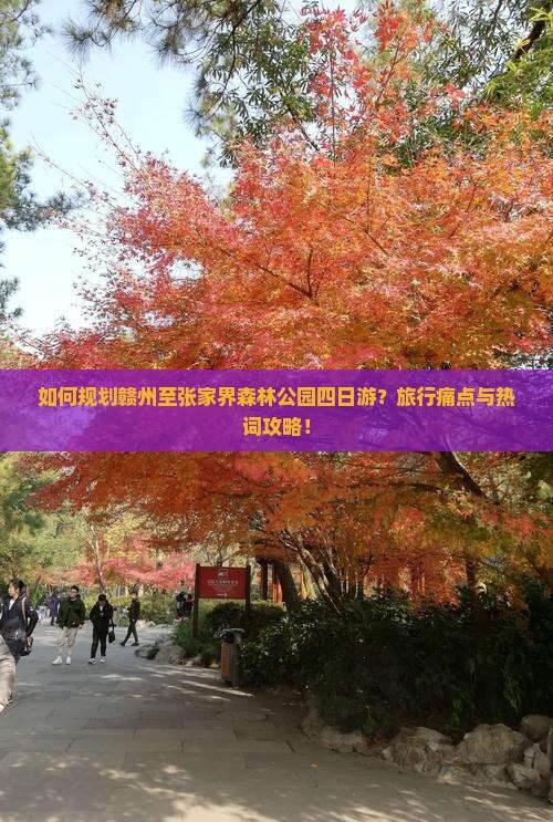 如何规划赣州至张家界森林公园四日游？旅行痛点与热词攻略！