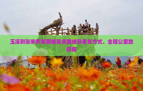 玉溪到张家界芙蓉镇景点路线及乘车方式，全程公里数详解