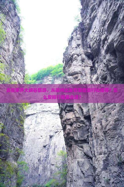 去张家界大峡谷旅游，从德州出发有哪些旅行社推荐？怎么安排行程最合适？