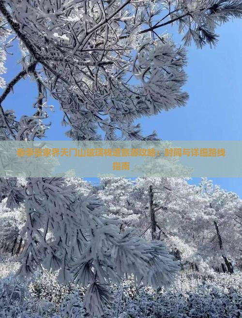 春季张家界天门山玻璃栈道旅游攻略：时间与详细路线指南