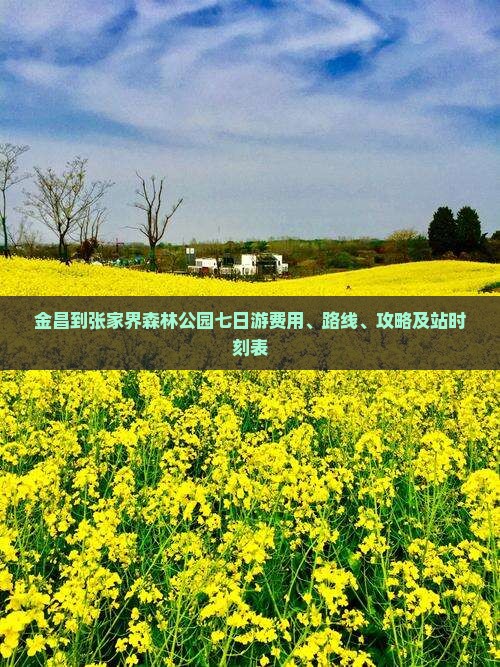 金昌到张家界森林公园七日游费用、路线、攻略及站时刻表