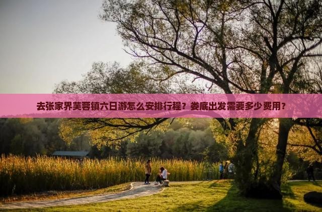 去张家界芙蓉镇六日游怎么安排行程？娄底出发需要多少费用？