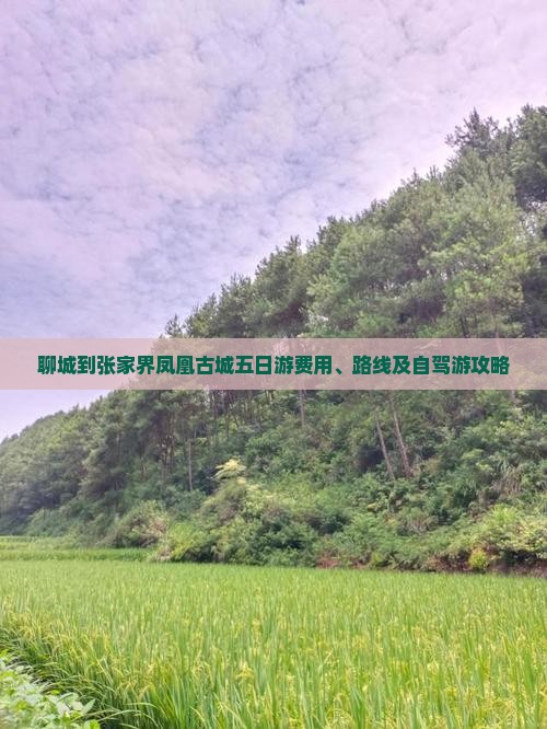 聊城到张家界凤凰古城五日游费用、路线及自驾游攻略
