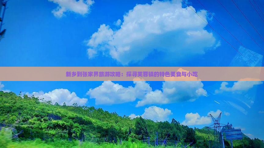 新乡到张家界旅游攻略：探寻芙蓉镇的特色美食与小吃