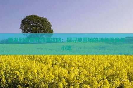 新乡到张家界旅游攻略：探寻芙蓉镇的特色美食与小吃