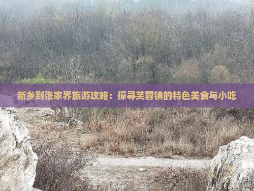 新乡到张家界旅游攻略：探寻芙蓉镇的特色美食与小吃