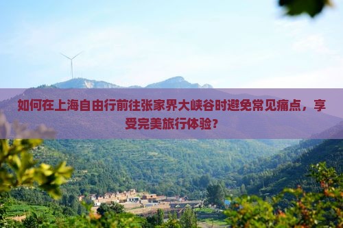 如何在上海自由行前往张家界大峡谷时避免常见痛点，享受完美旅行体验？