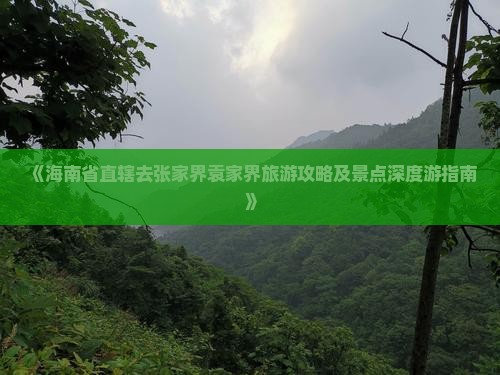 《海南省直辖去张家界袁家界旅游攻略及景点深度游指南》