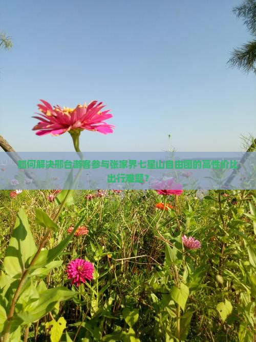 如何解决邢台游客参与张家界七星山自由团的高性价比出行难题？