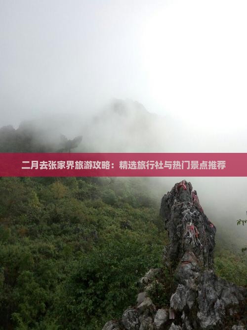 二月去张家界旅游攻略:精选旅行社与热门景点推荐 二月去张家界旅游攻略:精选旅行社与热门景点推荐