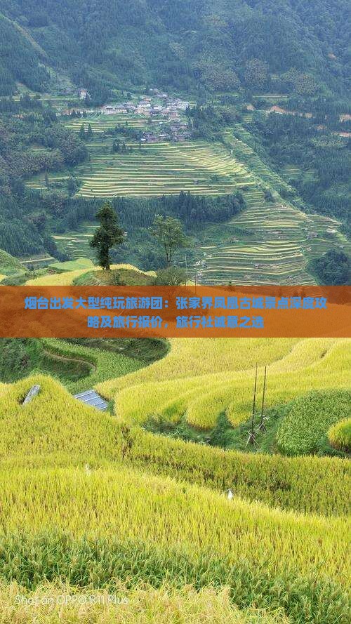 烟台出发大型纯玩旅游团：张家界凤凰古城景点深度攻略及旅行报价，旅行社诚意之选