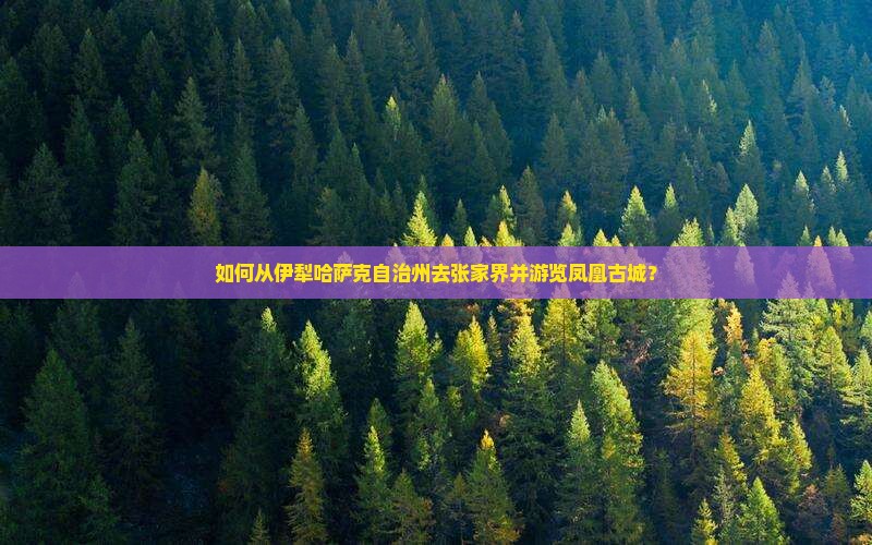 如何从伊犁哈萨克自治州去张家界并游览凤凰古城？
