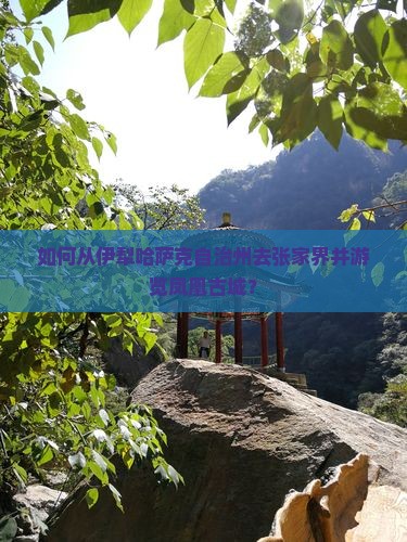 如何从伊犁哈萨克自治州去张家界并游览凤凰古城？
