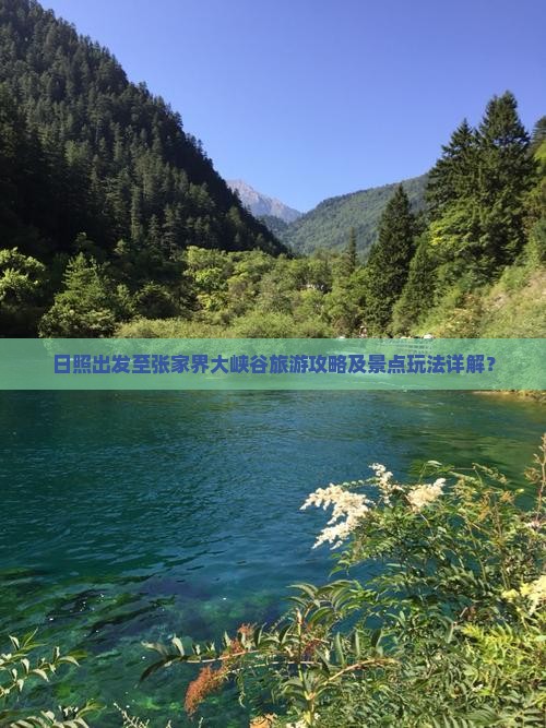 日照出发至张家界大峡谷旅游攻略及景点玩法详解？