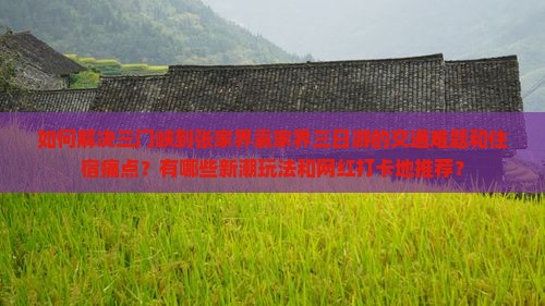如何解决三门峡到张家界袁家界三日游的交通难题和住宿痛点？有哪些新潮玩法和网红打卡地推荐？