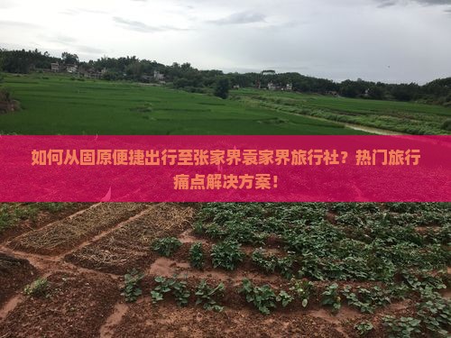 如何从固原便捷出行至张家界袁家界旅行社？热门旅行痛点解决方案！