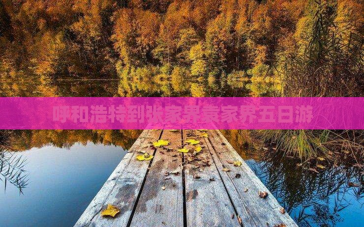 呼和浩特到张家界袁家界五日游