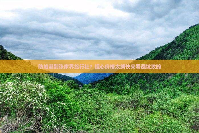 防城港到张家界旅行社？担心价格太缚快来看避坑攻略