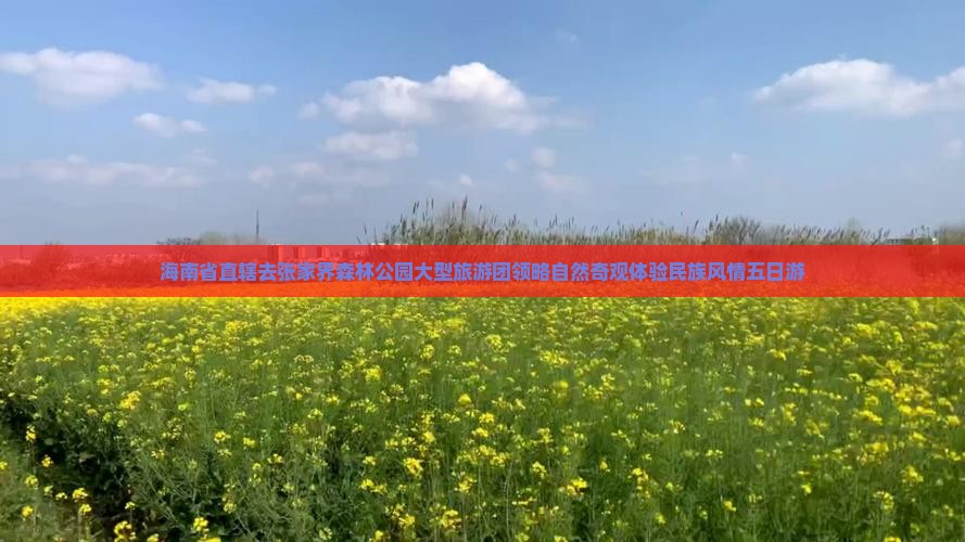 海南省直辖去张家界森林公园大型旅游团领略自然奇观体验民族风情五日游
