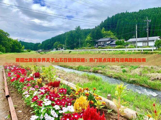 莆田出发张家界天子山五日旅游攻略：热门景点详解与经典路线指南