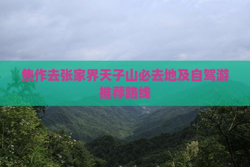 焦作去张家界天子山必去地及自驾游推荐路线