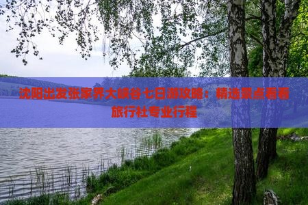 沈阳出发张家界大峡谷七日游攻略：精选景点看看旅行社专业行程