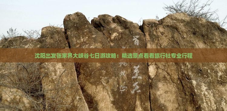 沈阳出发张家界大峡谷七日游攻略：精选景点看看旅行社专业行程