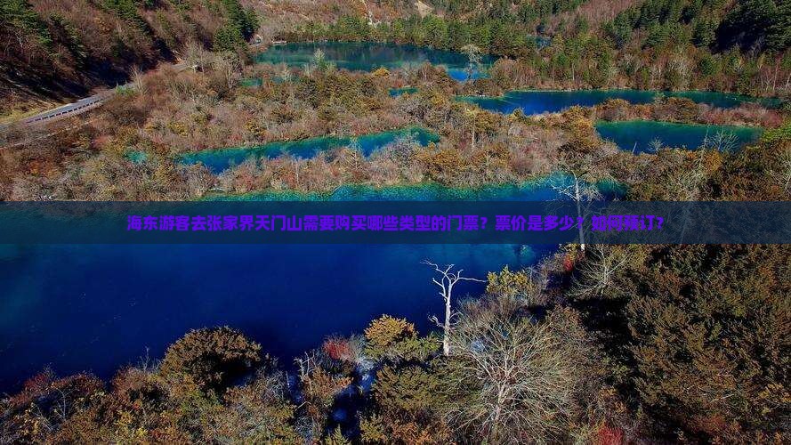 海东游客去张家界天门山需要购买哪些类型的门票？票价是多少？如何预订？