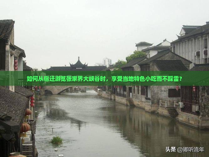 如何从宿迁游览张家界大峡谷时，享受当地特色小吃而不踩雷？