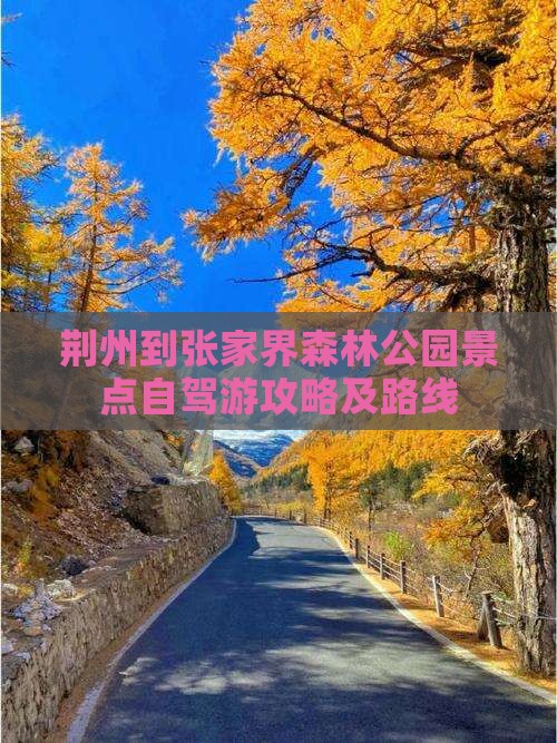 荆州到张家界森林公园景点自驾游攻略及路线