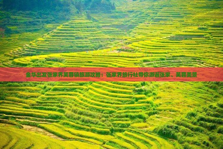 金华出发张家界芙蓉镇旅游攻略：张家界旅行社带你游遍张家、芙蓉美景