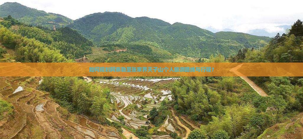 如何规划阿泰勒至张家界天子山个人旅游路线与行程？