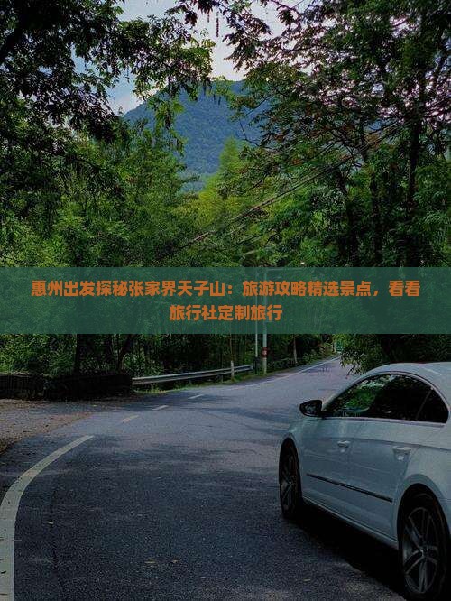 惠州出发探秘张家界天子山：旅游攻略精选景点，看看旅行社定制旅行