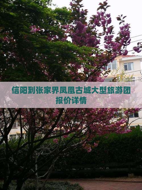 信阳到张家界凤凰古城大型旅游团报价详情