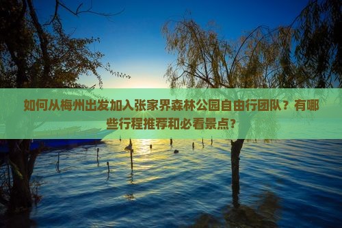 如何从梅州出发加入张家界森林公园自由行团队？有哪些行程推荐和必看景点？