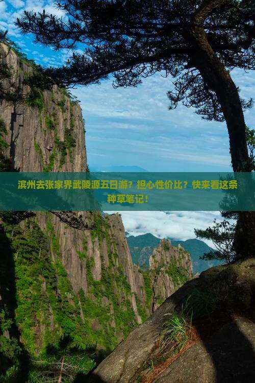 滨州去张家界武陵源五日游？担心性价比？快来看这条种草笔记！