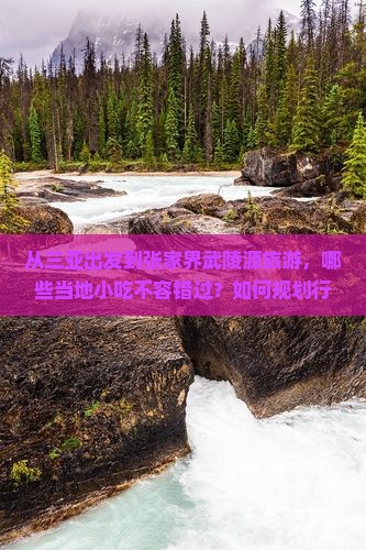 从三亚出发到张家界武陵源旅游，哪些当地小吃不容错过？如何规划行程以品尝地道美食？