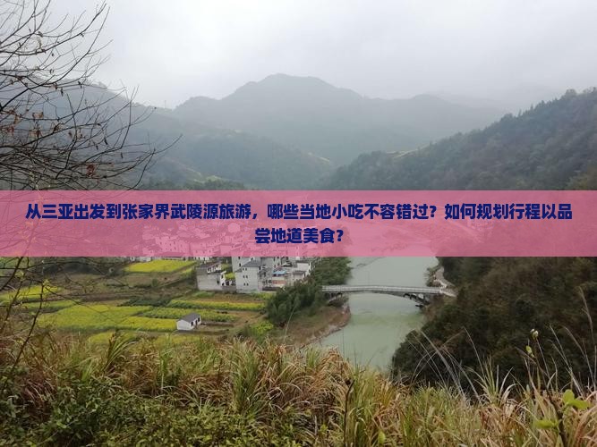 从三亚出发到张家界武陵源旅游，哪些当地小吃不容错过？如何规划行程以品尝地道美食？
